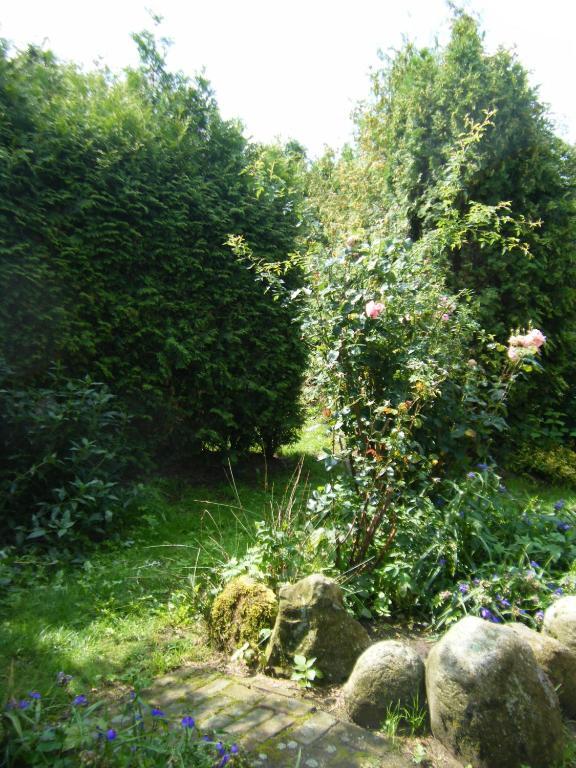 Molenvoort Bed and Breakfast Wachtum Εξωτερικό φωτογραφία
